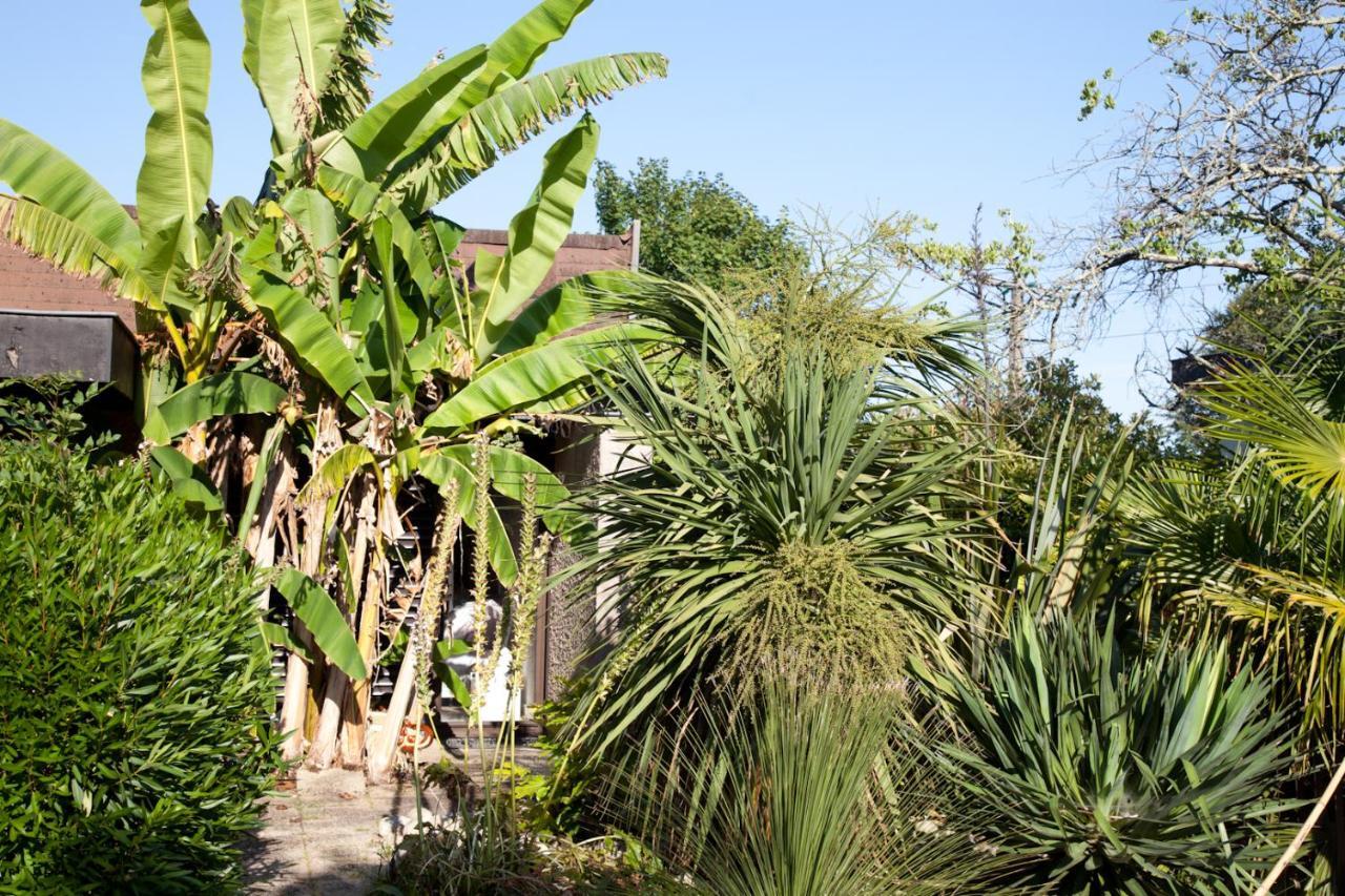 Villa Margaux Fargues-Saint-Hilaire Εξωτερικό φωτογραφία